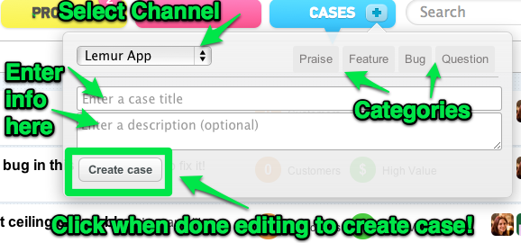 Fill out the mini case editor with all the case details.